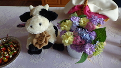Dsc05226_medium