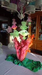 Dsc09046_medium