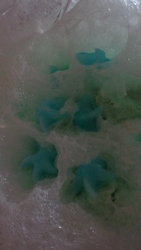 Dsc09106_medium