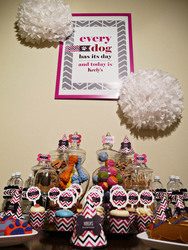 Dog_puppy_party_medium