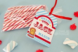 A5a_birthday_circus6_medium