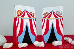 B5a_baby_circus11_medium