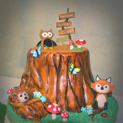 Woodlandcrittercakemod_medium