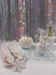 Frozen_parties_020_medium