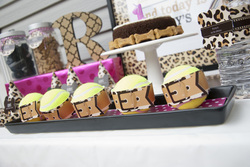 Leopard_dog_party_theme_0014_medium