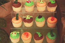 Cupcakes_medium