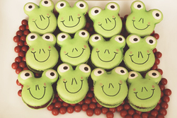 Frogs_medium