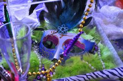 Mardi_gras_party_6_medium