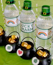 Stpat2-e1393728226991_medium