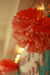 Img_3258_medium