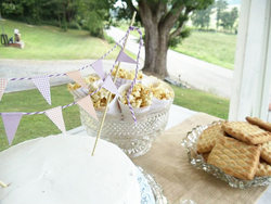 Bunting_2_medium