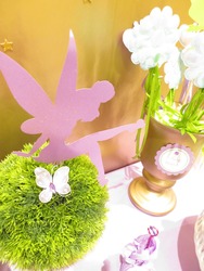 Chloes-tinkerbell_5th__204__medium