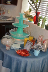 Monica_s_bridal_show_2-23-2014_041_medium