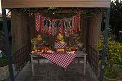 Dsc00281_medium