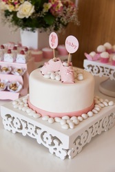 Bshower_mg_3929_medium
