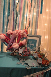 Img_6778_medium