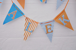 Goldfish-party-alek-15_medium