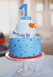 Goldfish-party-alek-22_medium