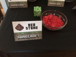 Zach_s_10th_birthday_-_minecraft_party_081_medium