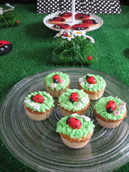 Img_0793_medium