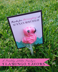 Flamingo_favor_photo_medium