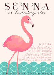 Flamingo_invite_medium