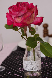 Dsc03045-2_medium