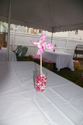 Imgp8585_medium