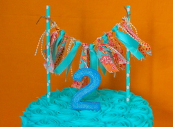 Shel17_medium