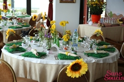 Img_3840_copy_medium