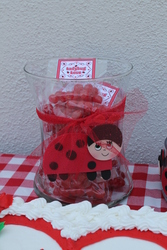 Ladybugpicnic14_109_medium