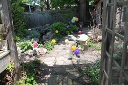Img_6915_medium