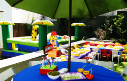 Dsc03509_medium