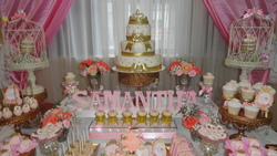 Dsc03178_medium