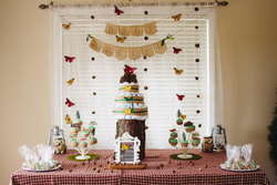 Andersbabyshower-2_medium