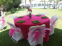 P1013748_medium