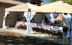 Sicily_s_7th_birthday_glam_party_canopies_medium