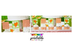 P_c_etsy_47_medium