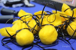 Img_0576_medium