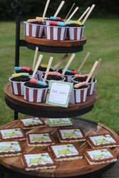 Brant_s_9th_birthday_party_6