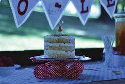 Cake_medium