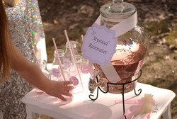 Princess_party_drinks_station_medium