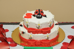Dsc_0074_medium