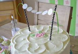 Cake1_medium