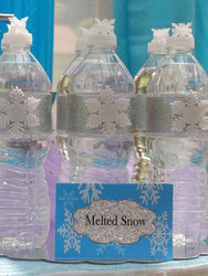 Frozenmeltedsnaow_medium