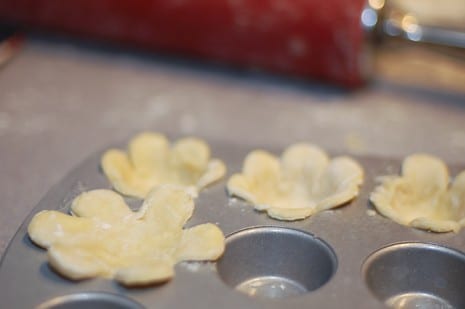 mini lemon tartlets recipe mini-lemon-tartlets-recipe