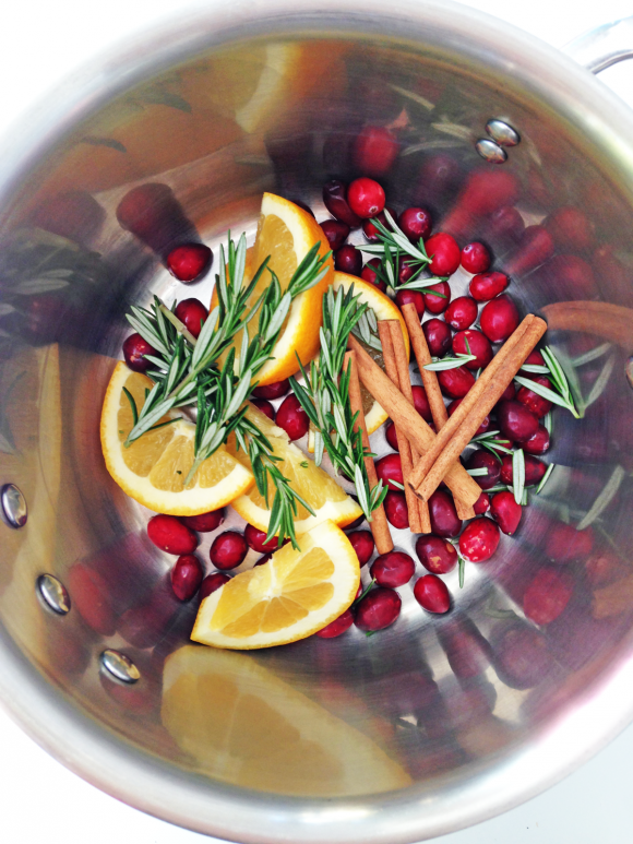 Cranberry Orange Spice Stove Top Potpourri DIY Catch My Party