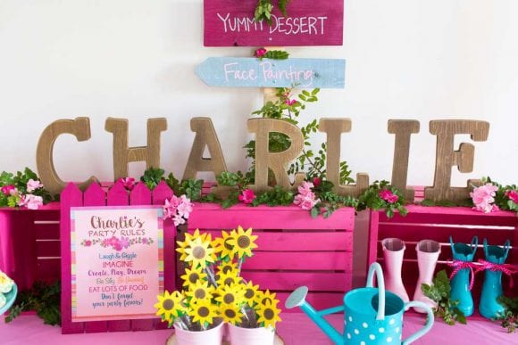 WellieWishers party | CatchMyParty.com