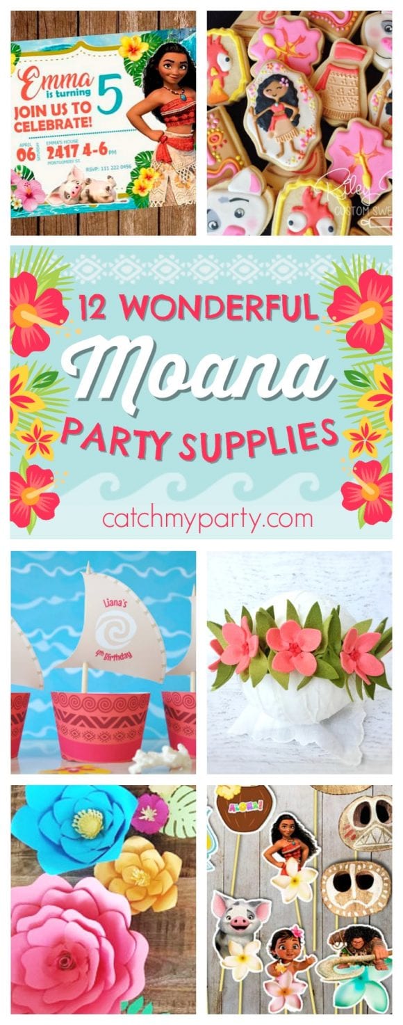 12 Wonderful Moana Party Supplies | Catch My Party