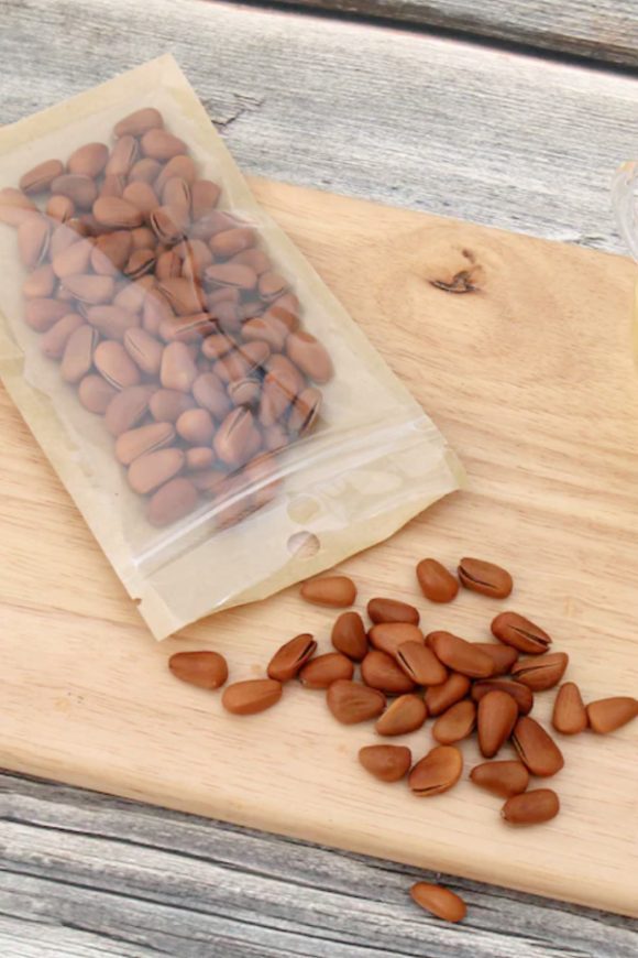 The Best 22 Social Distancing Party Food Ideas Clear Front Resealable Bags | CatchMyParty.com Clear Front Resealable Bags